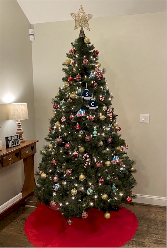 Help a friend decorate the Christmas tree.